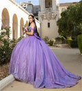 Customized Lilac Quinceanera Dress 2025 Sparkly Appliques Lace Ball Gown Lavender Vestido De 15 Años Birthday Party Dress Custom