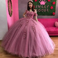 Charming Pink Evening Dresses 3D Applique Puffy Skirt Lace-Up Back Sweet Party Dress Long Prom Gowns