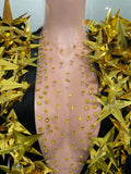 Shiny Gold Rhinestone Black Velvet Long Sleeve Bodysuit Women Evening Party Club Gala Hosts Night Club Bar Stage Costumes