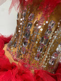 Sexy Strapless Red Mesh Two Pieces Set Singer Nightlcub Party Stage Outfit Photo Shoot Prom Gown Luxury Birthday Dresses