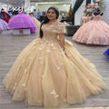 Princess Champagne Quinceanera Dress With Butterfly Spakle Ball Gown Prom Dresses Birthday Party Vestidos 15 Xv Sweet Customized