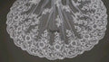 Lace Wedding Veil Cathedral Length Bridal Veil with Sequins Vintage Lace Veil