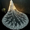 Luxury Long Bridal Veil White Ivory Wedding Veils with Comb Lace Edge Applique Elegant Cathedral Length Wedding Accessories