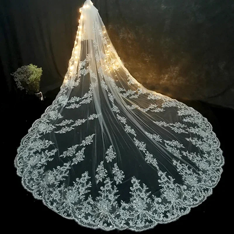 Luxury Long Bridal Veil White Ivory Wedding Veils with Comb Lace Edge Applique Elegant Cathedral Length Wedding Accessories