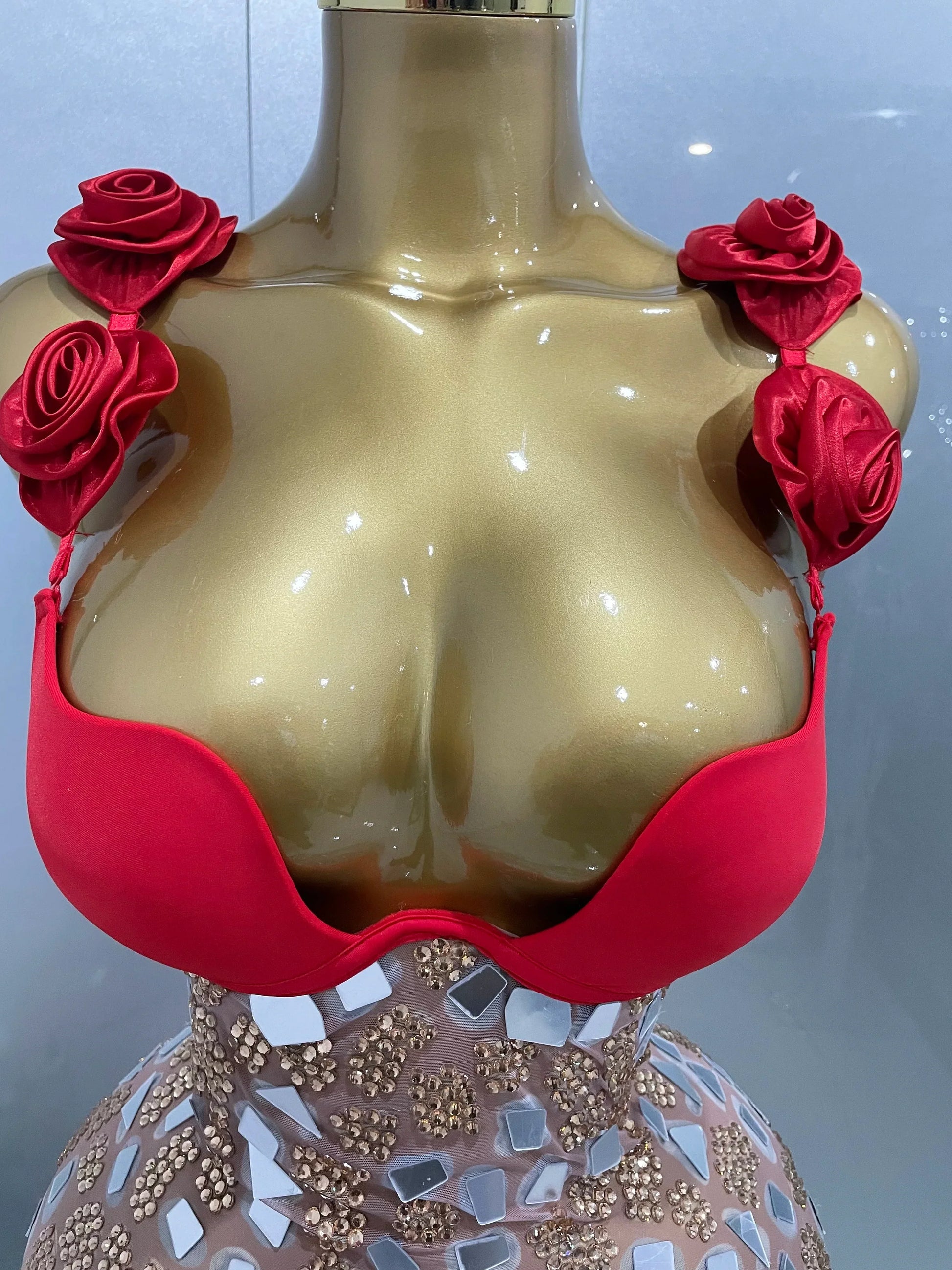 Sexy Sparkly Rhinestones Mesh Mirrors Red Roses Long Dress Women Elegant Evening Party Club Stage performance Costume