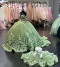 Sparkle Sage Green Quinceanera Dresses Charro Xv Mexican Vestidos De 15 Anos Lace Up 3D Floral Birthday Party Gown Customized green