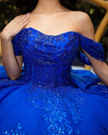 Customized Glitter Royal Blue Quinceanera Dress Ball Gown Sequins Applique Beaded Bow Sweet 16 Vestidos De 15 Anos