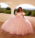 Light Blue Vestidos De 15 Quinceañera Dress Puffy Tulle Vestidos De 15 Años Xv Birthday Sixteen Party Gown 2025 Chic Customized