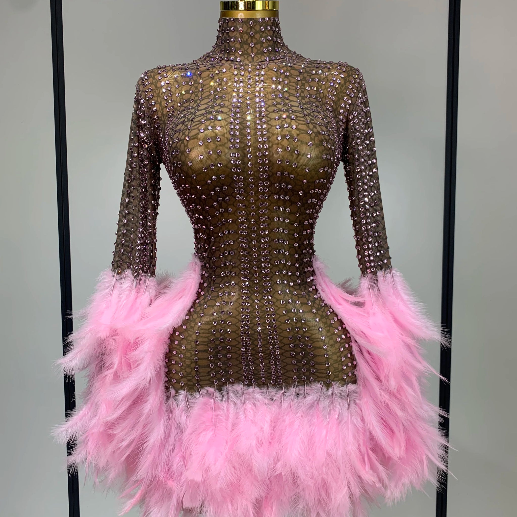 Women Sexy Transparent Stretch Mesh Feathers Stage Performance Costume Singer Nightclub Evening Party Luxury Birthday Dress Pink