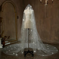 Long Butterfly Bridal Veil Lace Wedding Veils For Evening Dinner Party Dress Women Gift Hair Accessories Brides Jewelry