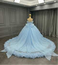 Sky Blue Tulle Ball Gown with Beaded Bodice