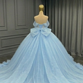 Sky Blue Tulle Ball Gown with Beaded Bodice