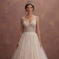 Tulle Ball Gown Wedding Dresses with Fairytale Elegance