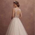 Tulle Ball Gown Wedding Dresses with Fairytale Elegance