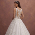 White Lace Ball Gown Wedding Dress with Sparkle Finish