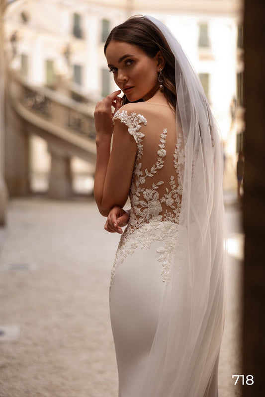 Stunning Backless Mermaid Dresses Wedding Gown Sleeveless Lace Appliques Deep V Neck